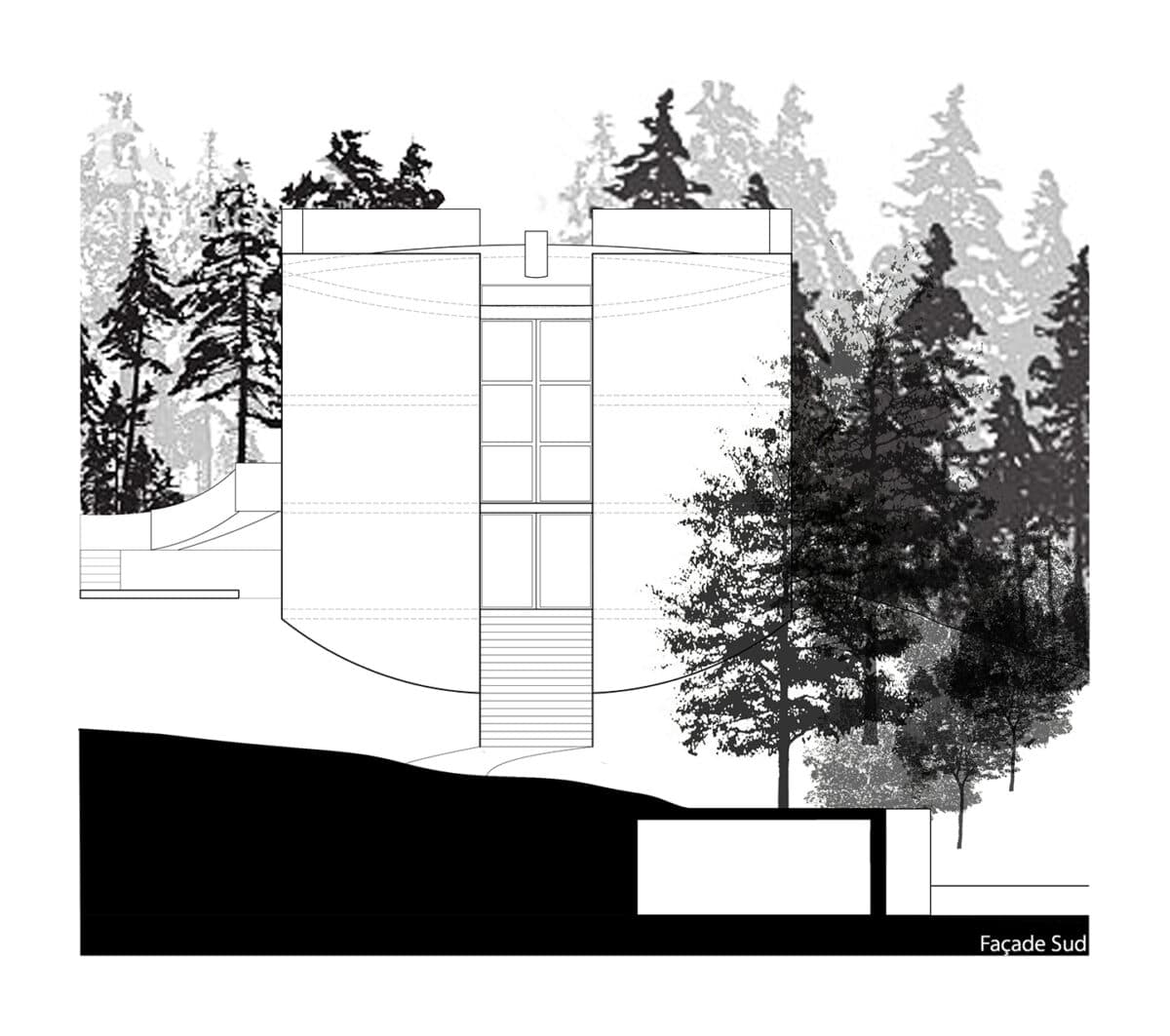 Le plus grand tronc de la forêt – Création d’une villa ronde au milieu des arbres, La Chaux-de-Fonds